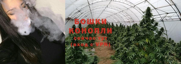 ГАЛЛЮЦИНОГЕННЫЕ ГРИБЫ Алексин