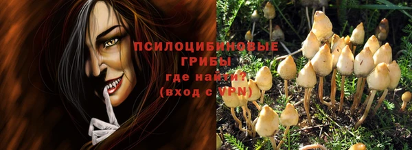 ГАЛЛЮЦИНОГЕННЫЕ ГРИБЫ Алексин